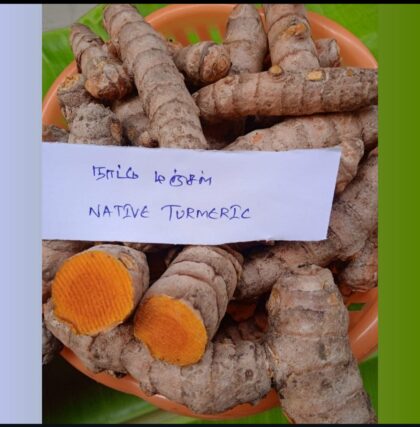 Native Turmaric